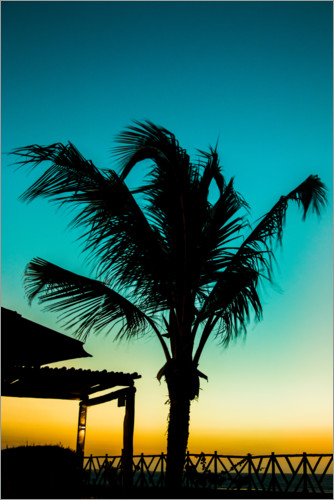 Póster Palmeira no pôr do sol azul