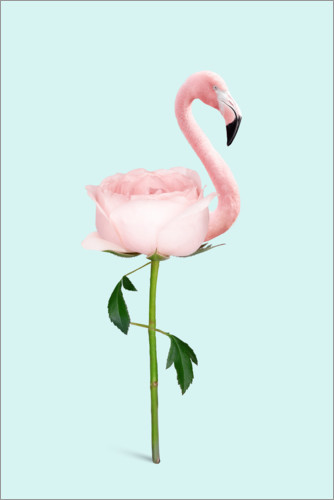 Póster Flamingo Rose