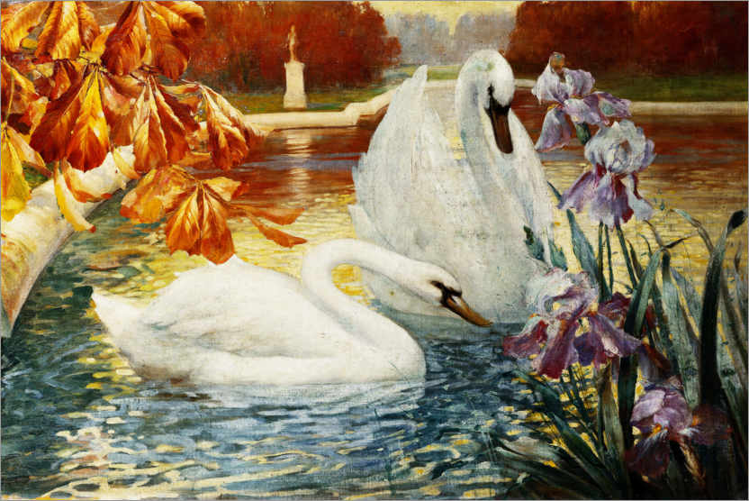 Póster Cisnes em uma lagoa