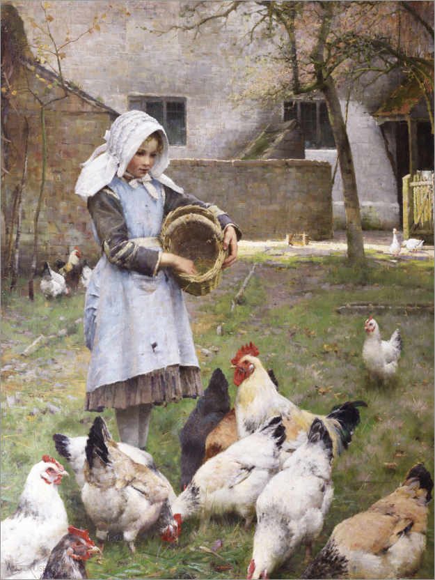 Póster Alimentando as galinhas