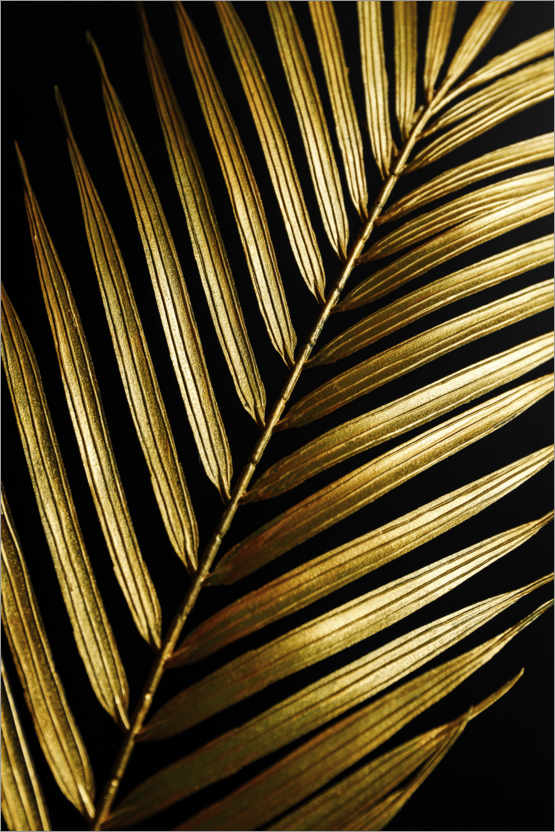 Póster Folha de palmeira dourada