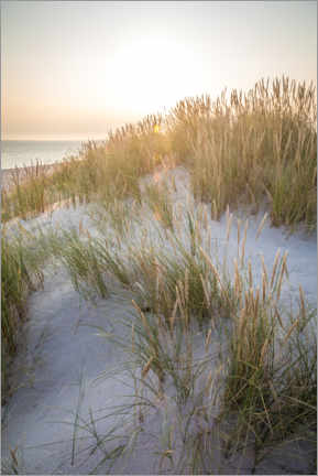Quadro em acrílico  Sol da manhã nas dunas em Sylt - Christian Müringer