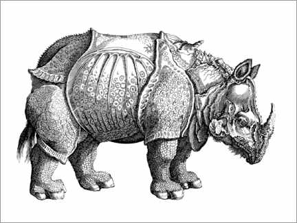 Póster para colorir O rinoceronte