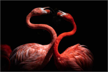 Quadro em acrílico  Flamingos - Eiji Itoyama