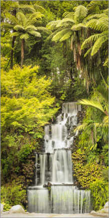 Póster Tropical waterfall in New Zealand