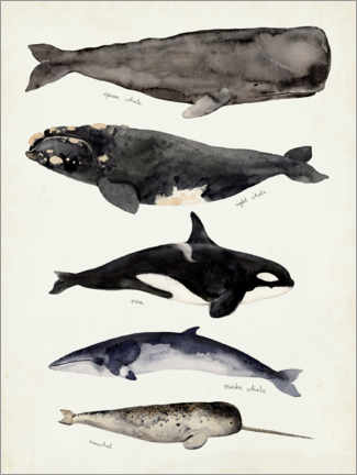 Quadro de madeira  Whales - Victoria Barnes