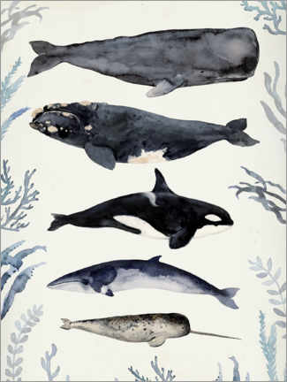 Póster Whales II