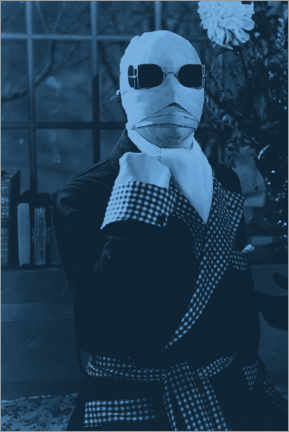 Quadro em plexi-alumínio  The Invisible Man (1933)
