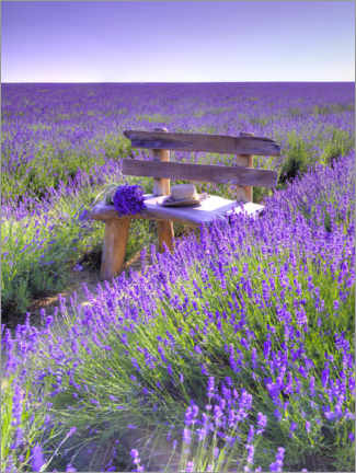 Póster  A bench in the lavender field - Assaf Frank