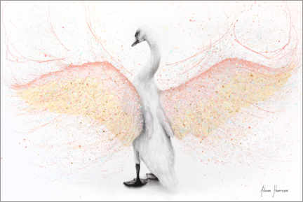 Quadro em tela  Cisne Branco - Ashvin Harrison