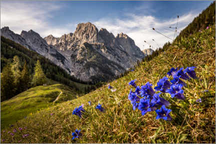 Póster  Primavera nas montanhas - Fotomagie