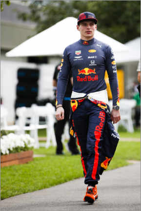 Quadro em alumínio  Max Verstappen, Red Bull Racing 2020