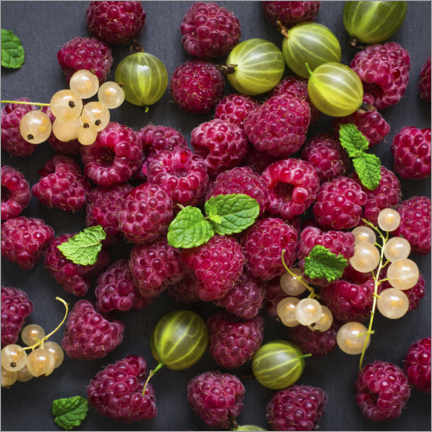 Quadro em tela  Raspberries, gooseberries and currants