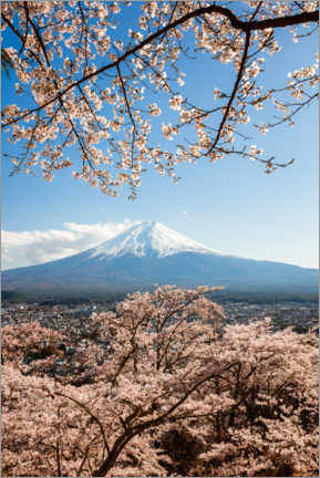 Póster  Primavera no Monte Fuji, Japão - Matteo Colombo