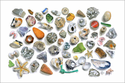 Quadro em alumínio  Beach treasures - Tilman Fulda