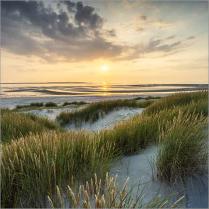 Quadro em acrílico  On the dune beach - Jan Christopher Becke