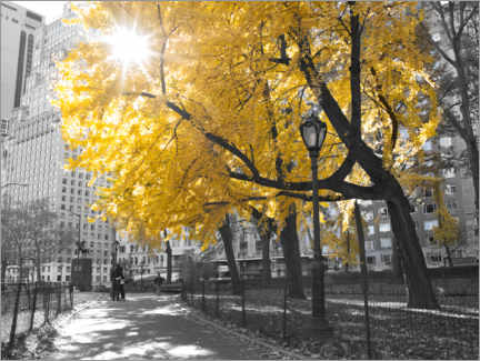 Póster Yellow tree in New York I