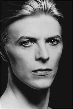Póster  David Bowie portrait