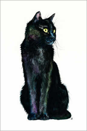 Póster  Shades of the Black Cat - Zaira Dzhaubaeva