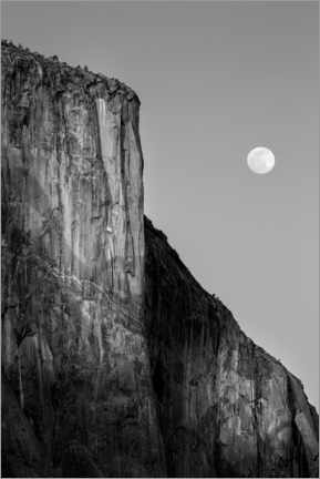 Póster  Full moon rising near El Capitan at sunset - Ann Collins