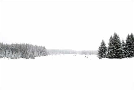 Quadro em acrílico  White, white snow and winter landscape - Studio Nahili