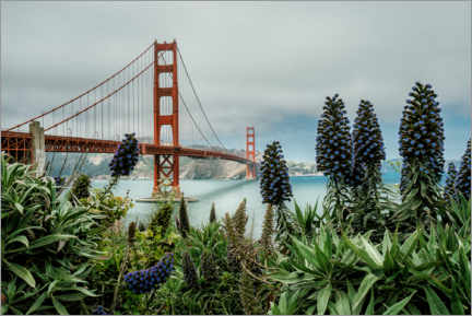 Quadro em tela  Golden Gate Bridge, San Francisco - Stefan Becker