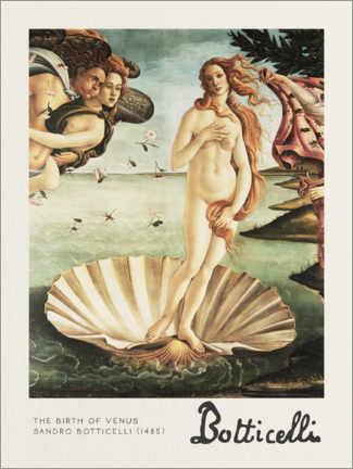 Autocolante decorativo  The Birth of Venus - Sandro Botticelli