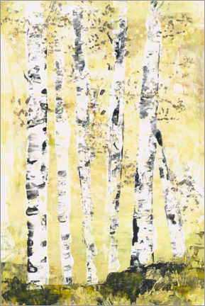Póster Birch trees in the sunlight