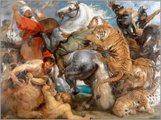 Quadro em plexi-alumínio  The Tiger Hunt - Peter Paul Rubens