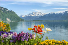Autocolante decorativo  Lake Geneva in spring - Olaf Protze