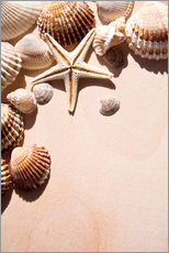 Autocolante decorativo  Estrela do mar e conchas