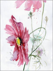 Autocolante decorativo  Cosmos flower watercolor - Verbrugge Watercolor