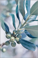Autocolante decorativo  blue leaves - Atteloi