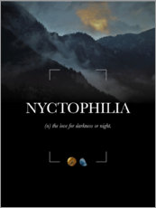 Póster Nyctophilia Definition