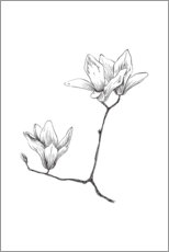 Quadro em acrílico  Magnolia - RNDMS