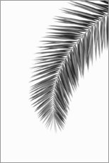 Quadro em plexi-alumínio  Folhas de palmeira - Art Couture