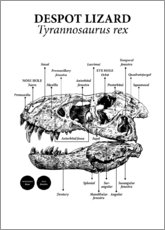 Quadro em acrílico  Crânio de Tyrannosaurus rex (inglês) - Velozee
