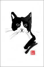 Póster Gato preto e branco