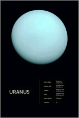 Póster Urano (em inglês)