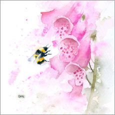 Quadro em PVC  Bumblebee on foxglove - Rachel McNaughton