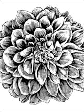 Póster Vintage Flower