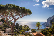 Póster Para o sul! Belvedere Tragara em Capri