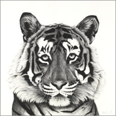 Quadro em tela  Cabeça do tigre - Rose Corcoran