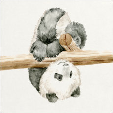 Quadro em PVC  Baby Panda II - Melissa Wang