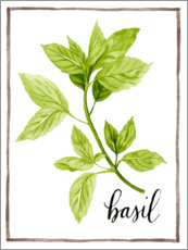 Autocolante decorativo  Ilustração de ervas manjericão - Grace Popp