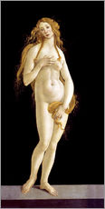 Quadro em plexi-alumínio  Vênus - Sandro Botticelli