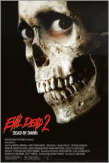 Quadro em acrílico  Evil Dead II - Vintage Entertainment Collection