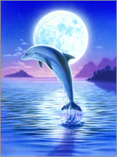 Quadro em plexi-alumínio  Day of the dolphin - midnight - Robin Koni