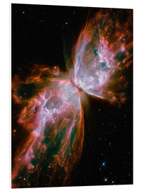 Quadro em PVC  The Butterfly Nebula