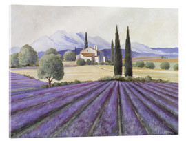 Quadro em acrílico  Lavender Fields - Franz Heigl